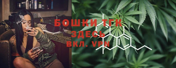 дмт Аркадак