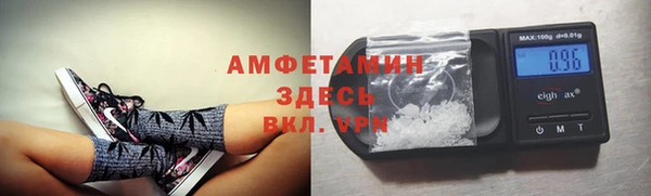 ГАЛЛЮЦИНОГЕННЫЕ ГРИБЫ Балахна
