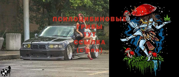 не бодяженный Новодвинск