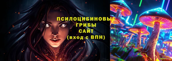 дмт Аркадак
