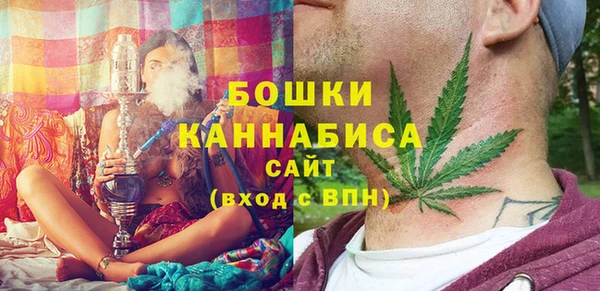 Альфа ПВП Новозыбков