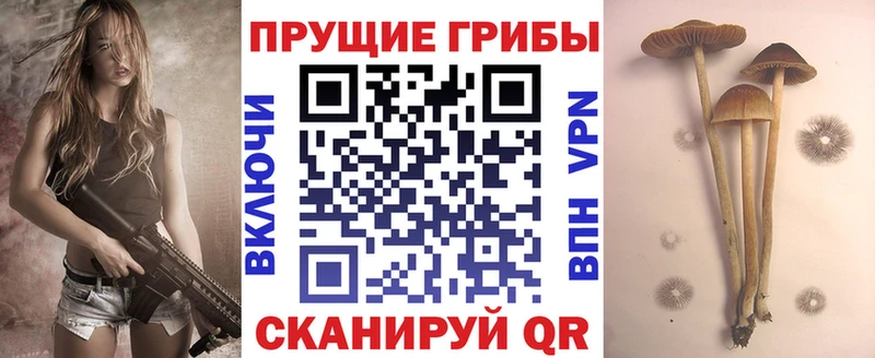 Псилоцибиновые грибы прущие грибы  Сковородино 