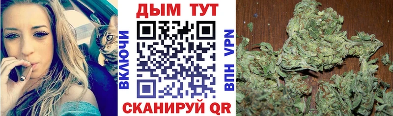Бошки марихуана MAZAR Сковородино